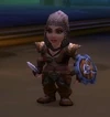 Holdout Warrior