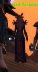Stormwind Archmage