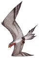 Corellian banshee bird TofG.jpg