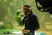 Henson Kermit