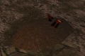 Shallow Grave.jpg