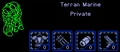 Marine SC1 Game2.png