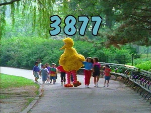 3877.jpg