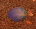 Highperch Wyvern Egg.jpg
