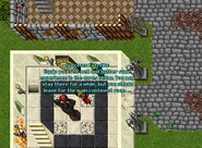 Sorc guild