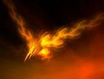 Phoenix fly.jpg