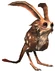 Rabbit Family.jpg