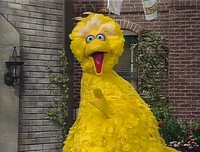 3788o.jpg