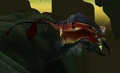 Netherskate.jpg