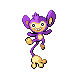 Aipom DP