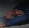 CrashVictim2-2x07