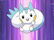 Pachirisu-anime