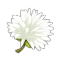 Evil Dandelion Flower
