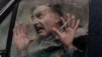 Steve Humphreys cocooned.jpg