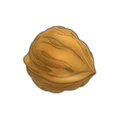 Walnut Shell