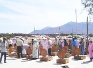 Phanrang2