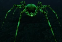 Carrion Recluse