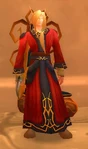 Summoner Teli'Larien
