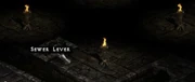 Sewer lever