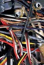 Conduit Worm.jpg