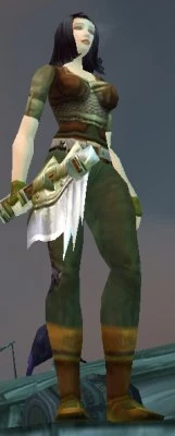 Image of North Fleet Salvager