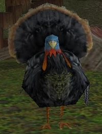 Fjord Turkey