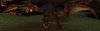 Tamed Proto-Whelp