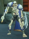 Risen Wintergarde Defender