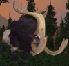 Shoveltusk Calf