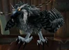Daggercap Hawk