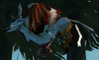 Spotted Hippogryph