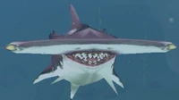 Daggercap Hammerhead