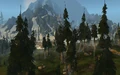 Rivenwood.jpg