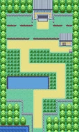 Ruta 6