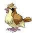 Pidgey