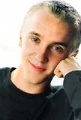 Tom Felton.jpg