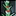 Wormwood Icon