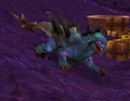 Warpy.jpg