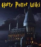 Me Potter Fan submission 3