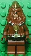 Wookie Warrior