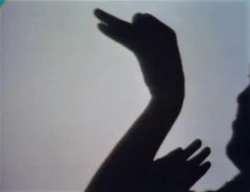 Shadowswan1