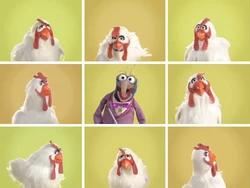Danubechick