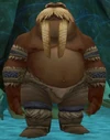 Elder Muahit