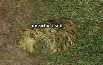 Unearthed soil.JPG