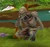 Evilforest.jpg