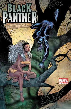 Black Panther Vol 4 16