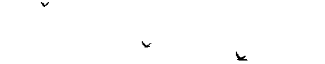 Crowkz2wj7.gif