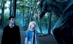 HarryLunaThestral