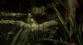 Thumbnail for version as of 19:09, July 29, 2008