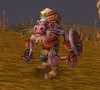 Znort